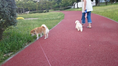c0138720_22321838.jpg