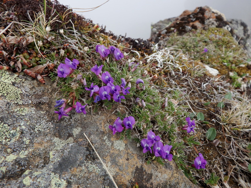 f0330321_22594414.jpg