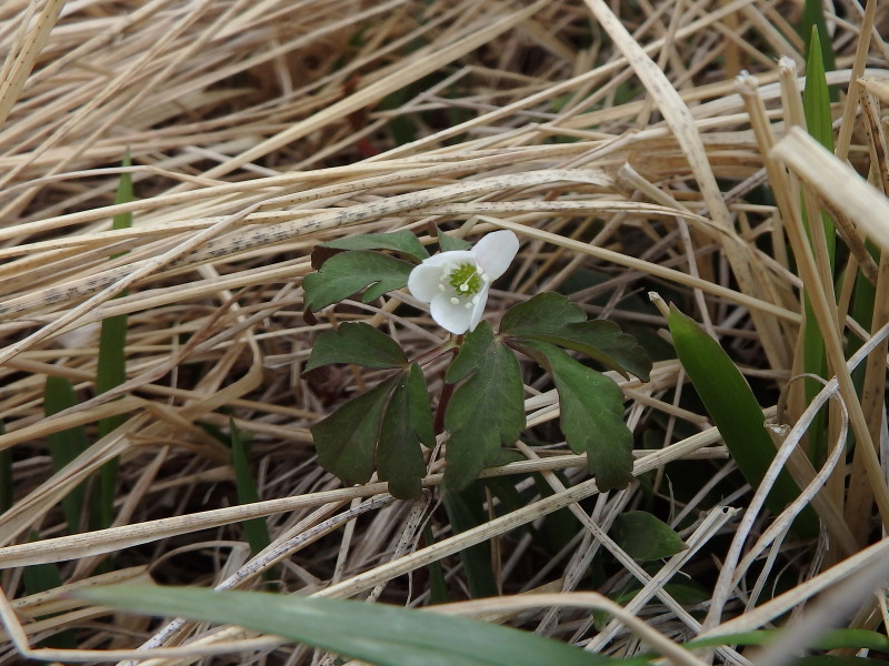 f0330321_230154.jpg