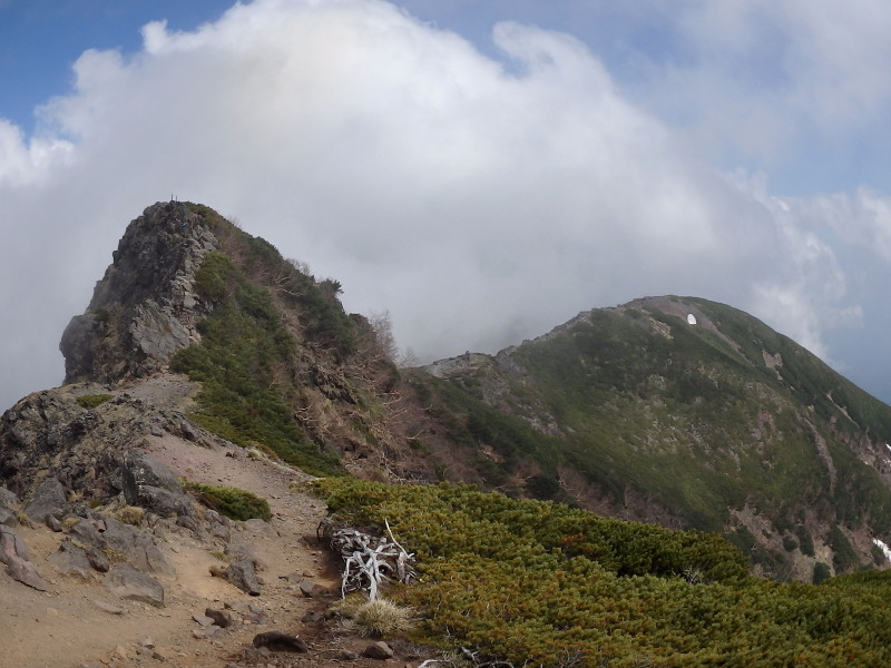 f0330321_231650.jpg