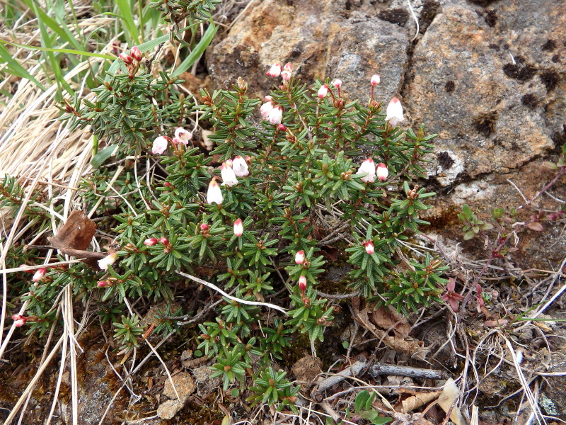 f0330321_2343991.jpg