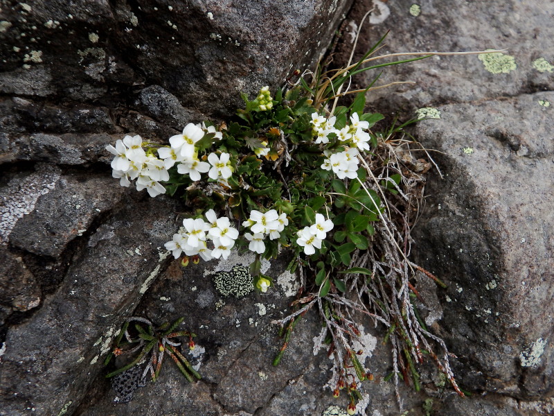 f0330321_235191.jpg