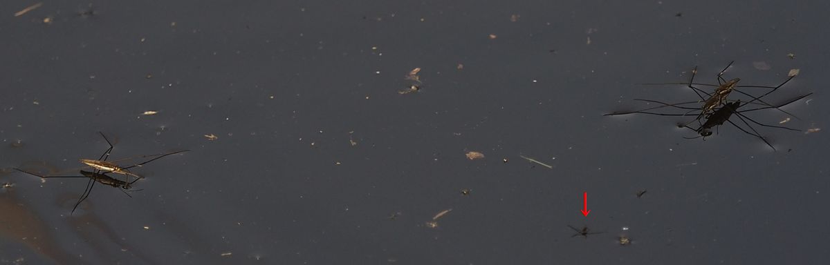 c0369423_1810394.jpg