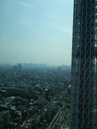b0082125_8535439.jpg