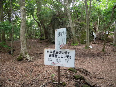 e0272335_505944.jpg
