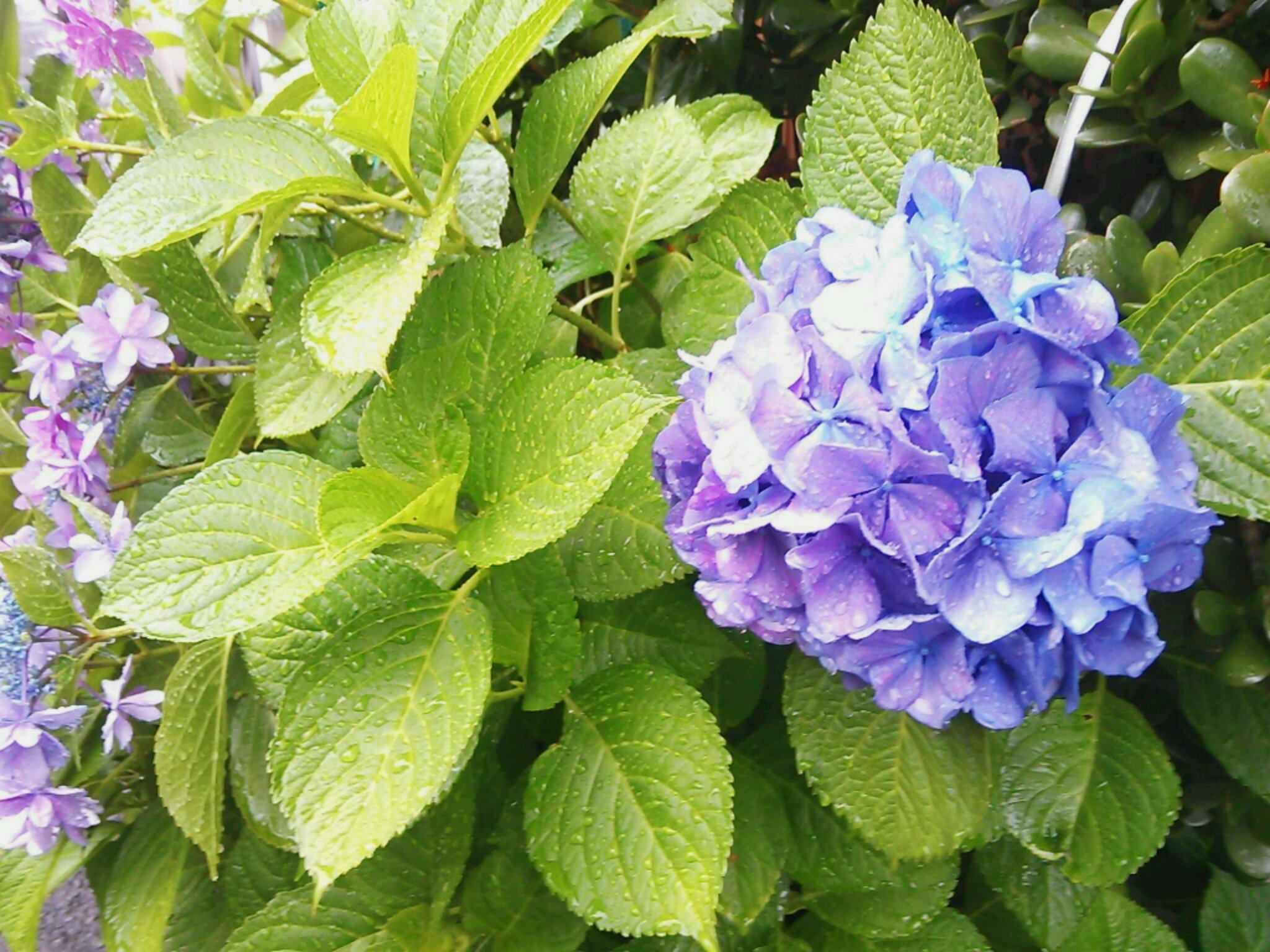 c0292342_17312556.jpg