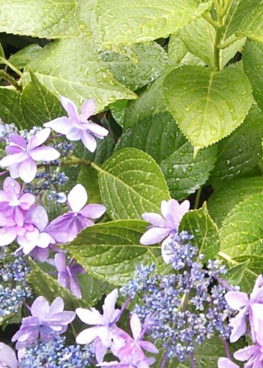 c0292342_17332732.jpg