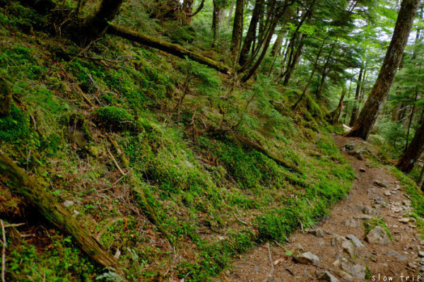 c0228945_18052527.jpg