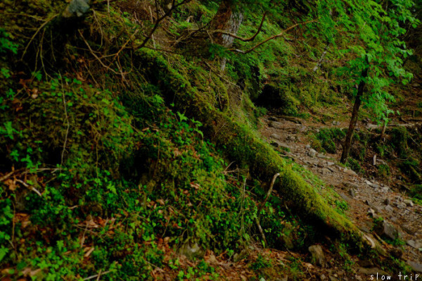 c0228945_18052622.jpg