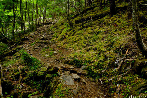 c0228945_18093242.jpg