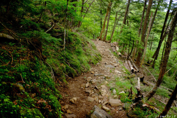 c0228945_18094069.jpg