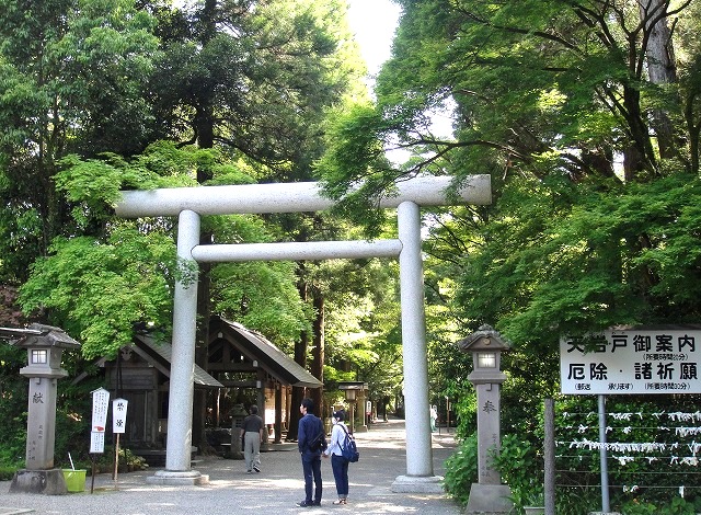 c0119160_5482436.jpg