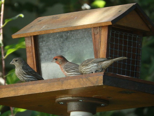 c0115366_9193850.jpg