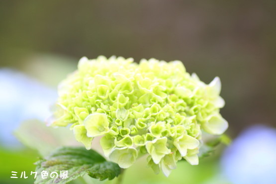 c0368870_09522673.jpg