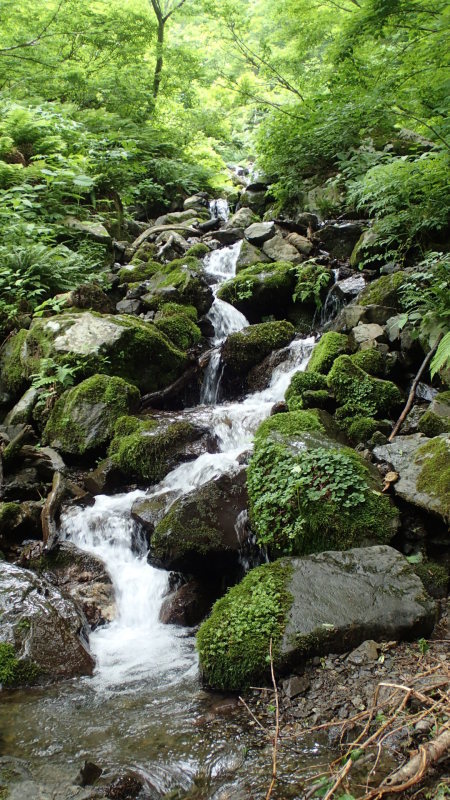 e0024081_09155114.jpg
