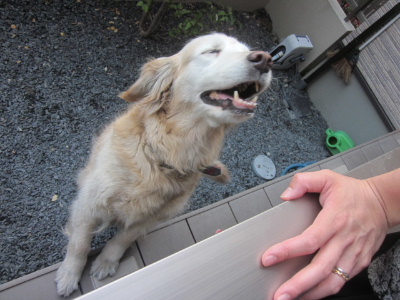 f0005081_20541657.jpg