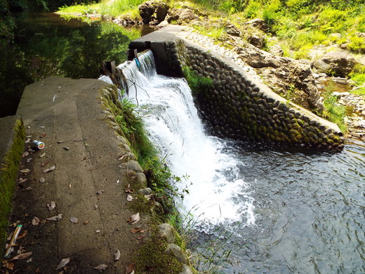 e0145782_1242125.jpg