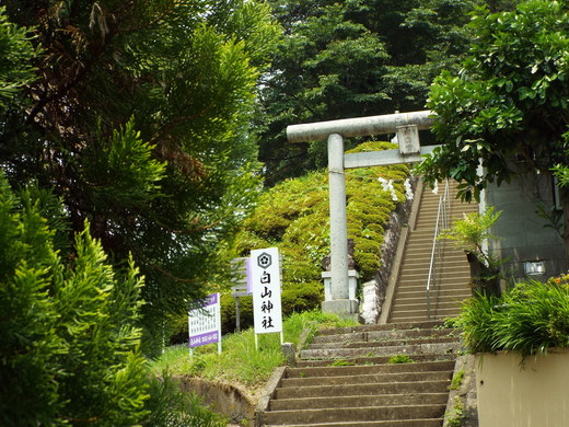e0145782_1246243.jpg
