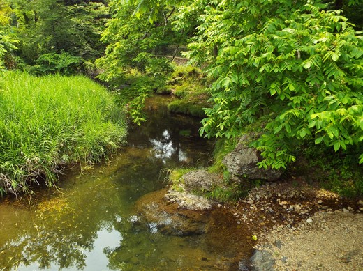 e0145782_12463818.jpg