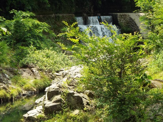 e0145782_1331288.jpg