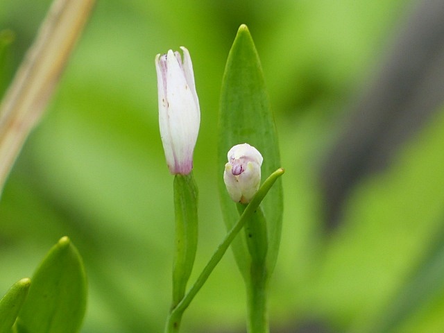 f0357487_10483459.jpg