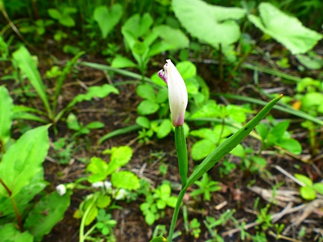 f0357487_10512924.jpg