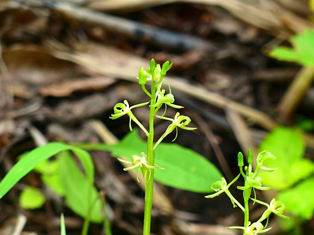 f0357487_10571581.jpg