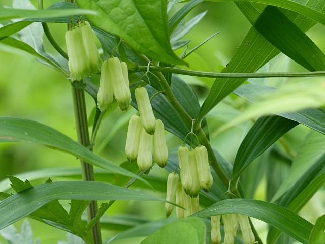 f0357487_10592627.jpg