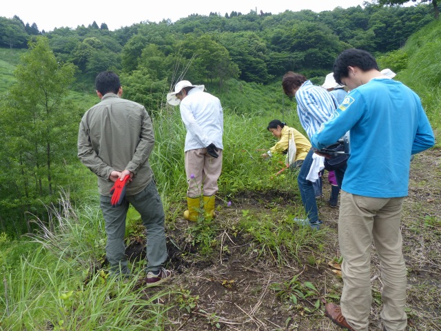 f0357487_11225848.jpg