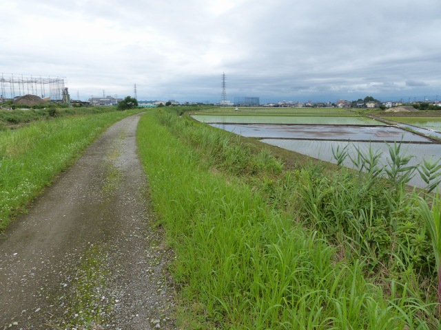f0357487_14411233.jpg