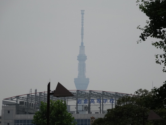 a0272591_21514741.jpg