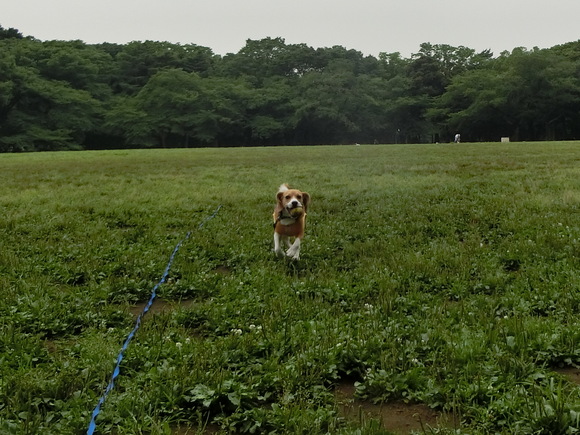 a0319693_17304160.jpg