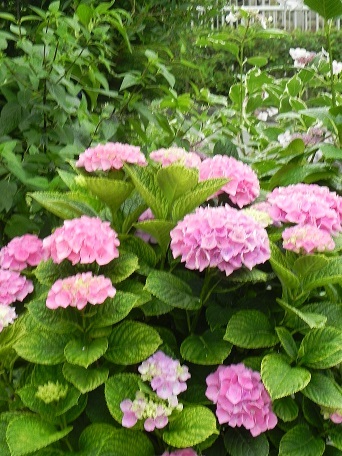 c0152002_09053615.jpg