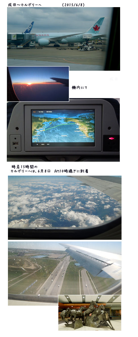 c0051105_232874.jpg