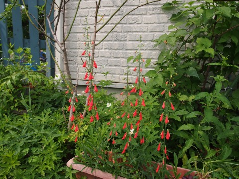 c0117007_21452327.jpg