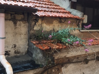 e0178307_16395828.jpg