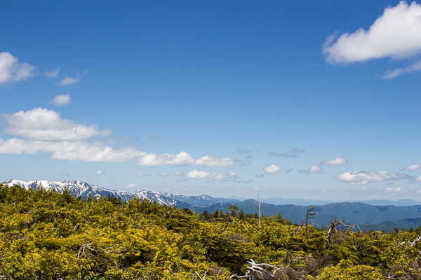 b0244811_548626.jpg