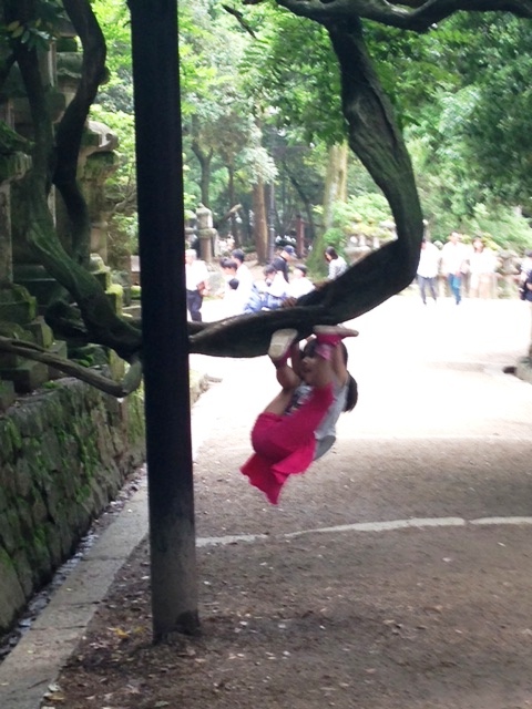d0007913_20311785.jpg