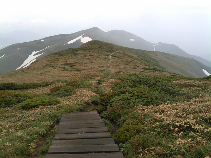 c0369219_12305318.jpg