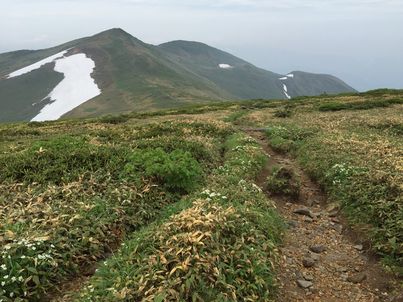 c0369219_12332583.jpg