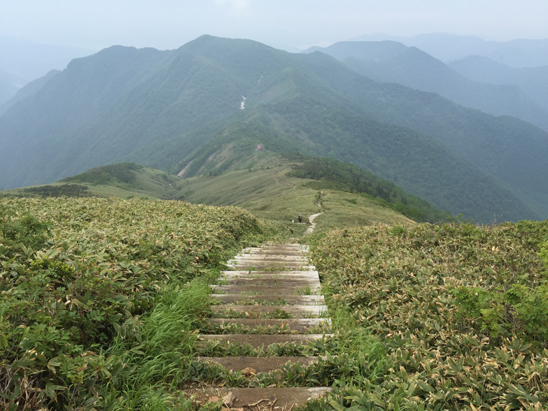 c0369219_14192617.jpg