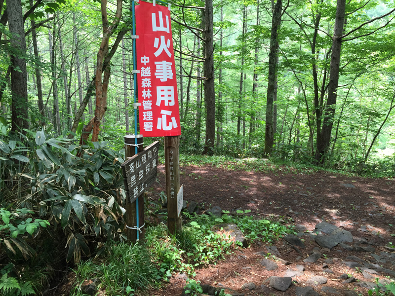 c0369219_14595425.jpg