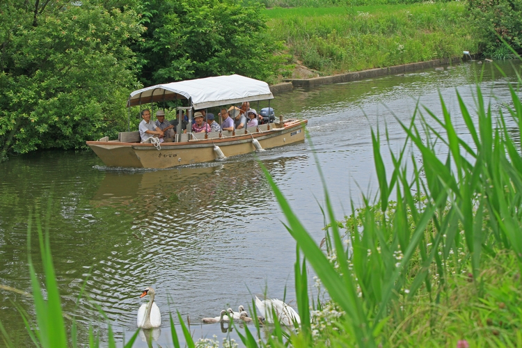 c0104227_858431.jpg