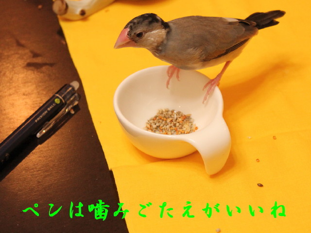 c0365734_22501181.jpg