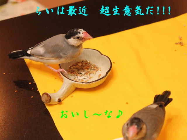 c0365734_22501305.jpg