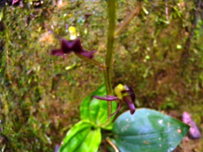 e0272335_182447.jpg