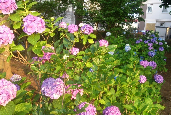 b0301236_05055621.jpg