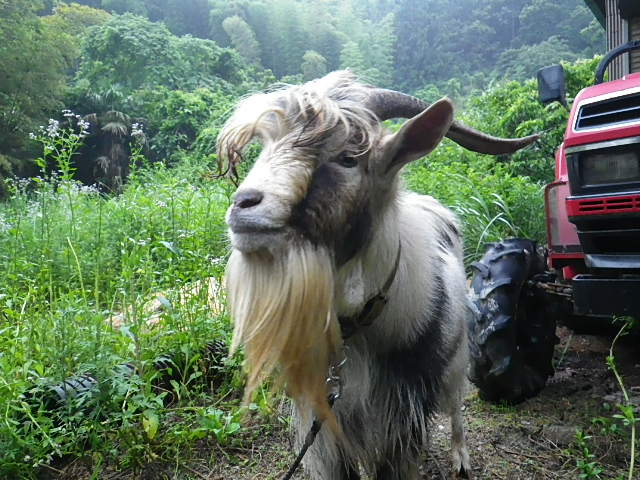 c0183137_011163.jpg