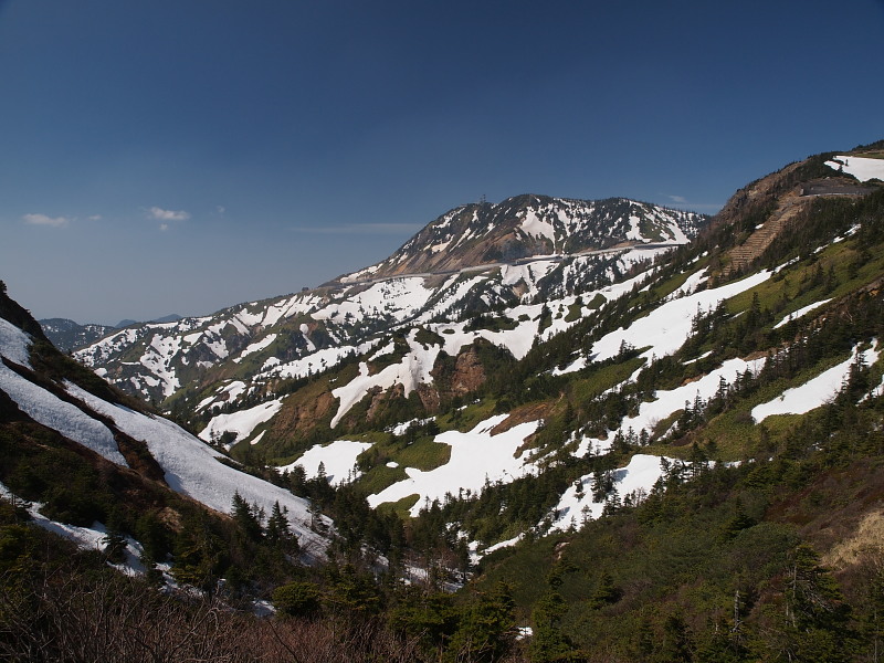 a0106043_2255111.jpg