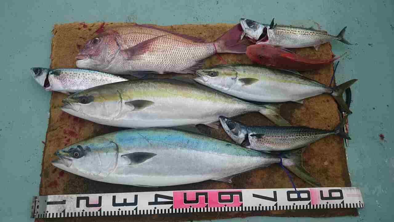 a0248152_18524538.jpg